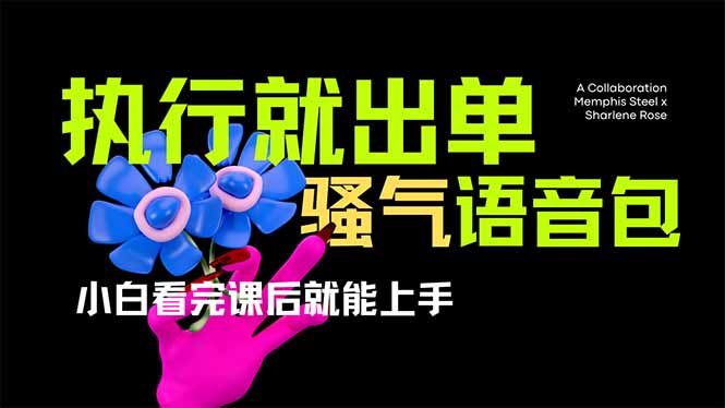 爆火全网的开车导航骚气语音包,只要执行就出单，小白看完课程就能实操…-迦哆网创社