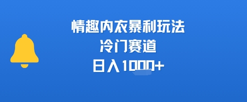 情趣内衣暴利玩法，冷门赛道，日入1k+-迦哆网创社