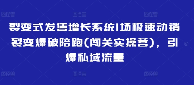 裂变式发售增长系统1场极速动销裂变爆破陪跑(闯关实操营)，引爆私域流量-迦哆网创社