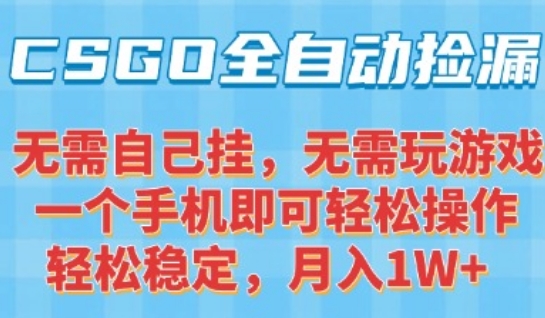 CSGO自动捡漏项目，最新独家玩法，一个手机可操作，新手小白轻松月入1W+，操作简单易上手【揭秘】-迦哆网创社