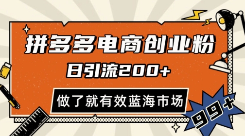 拼多多引流电商创业粉，日引200+，可矩阵放大，做了就有效【揭秘】-迦哆网创社