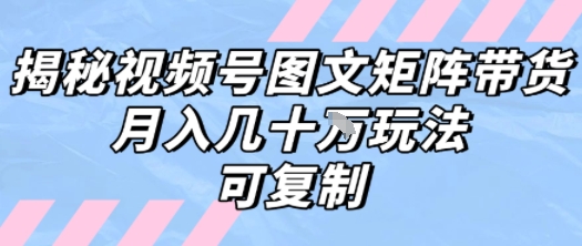 解密视频号图文矩阵带货，月入几个W的打法，可复制-迦哆网创社