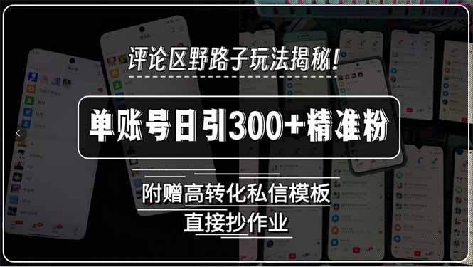 评论区野路子玩法揭秘！单账号日引300+精准粉，附赠高转化私信模板，直…-迦哆网创社