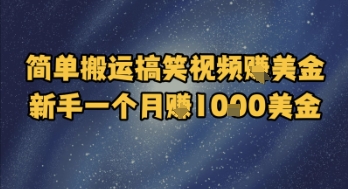 简单搬运搞笑视频挣美金，新手一个月入1k美金-迦哆网创社